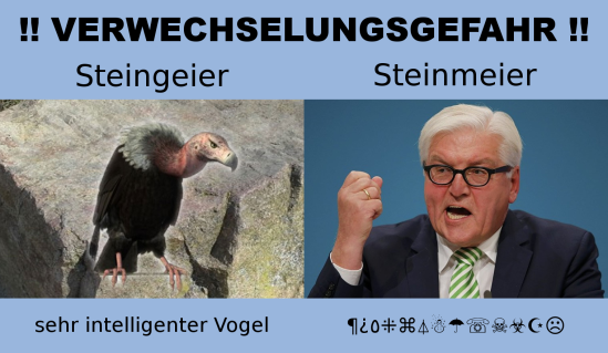 Steingeier/Steinmeier